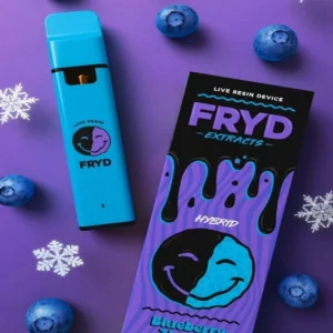 Fryd Disposable Blueberry Zlushie