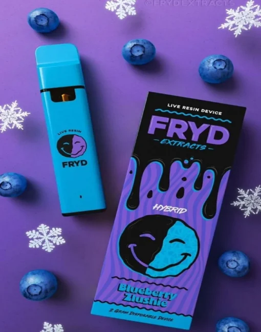 Fryd Disposable Blueberry Zlushie