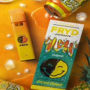 Fryd Disposable Cactus Cooler