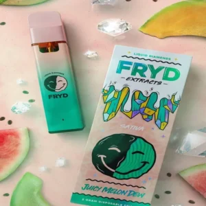 Fryd Disposable Juicy Melon Dew